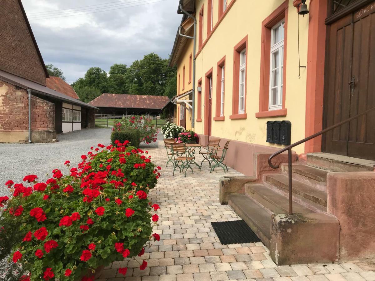 Elegantes Gaesteapartment Verano In Schloss Und Hofgut Langenzell Wiesenbach Exterior foto